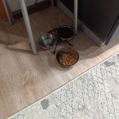 Фото отзыва 10904901