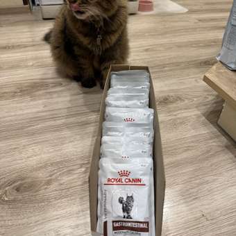 Корм влажный для кошек ROYAL CANIN GASTROINTESTINAL MODERATE CALORIE при расстройствах пищеварения: отзыв пользователя. Зоомагазин Зоозавр