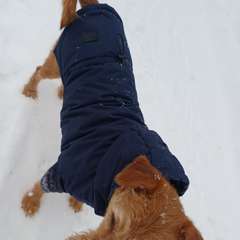 Фото отзыва 10918052