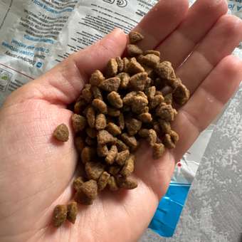 Корм для щенков ROYAL CANIN Junior миниатюрных пород 1.5кг: отзыв пользователя. Зоомагазин Зоозавр
