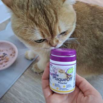 Средство для кошек PlaqueOff для профилактики зубного камня 40г: отзыв пользователя. Зоомагазин Зоозавр