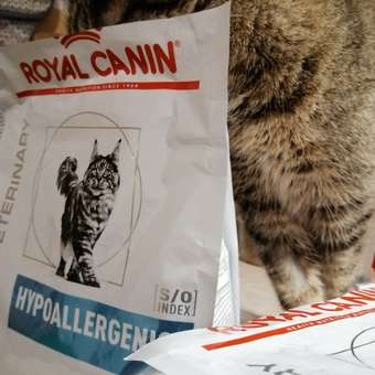 Корм для кошек ROYAL CANIN Hypoallergenic при пищевой аллергии 2кг: отзыв пользователя. Зоомагазин Зоозавр