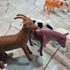 Фото отзыва 11148624