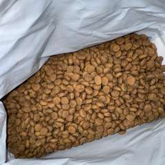 Фото отзыва 10724712