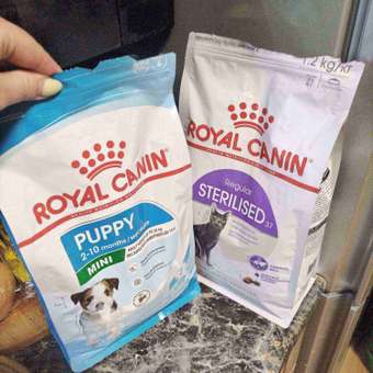 Корм для щенков ROYAL CANIN Puppy мелких пород 800г: отзыв пользователя. Зоомагазин Зоозавр