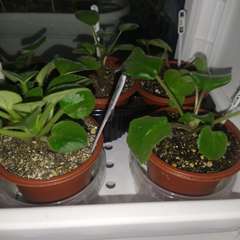 Фото отзыва 2469