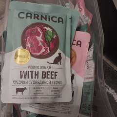 Фото отзыва 10748985