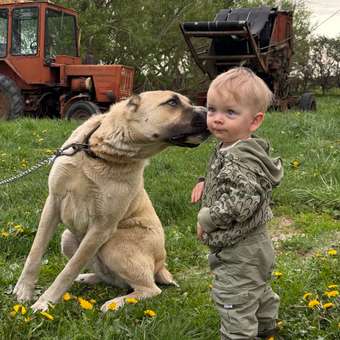 Брюки Baby Gо: отзыв пользователя Детский Мир