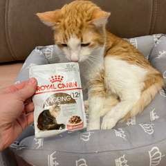 Фото отзыва 10695631