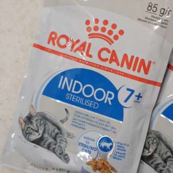 Корм для кошек ROYAL CANIN Indoor 85г для пожилых стерилизованных кошек 7+ желе пауч: отзыв пользователя. Зоомагазин Зоозавр