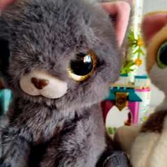 Фото отзыва 11186559