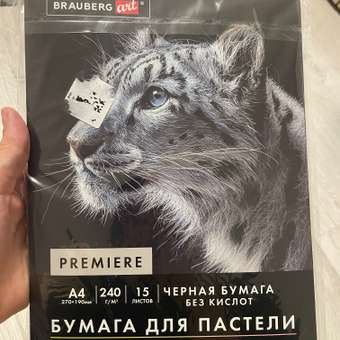Художественная бумага Brauberg 15 лист.: отзыв пользователя Детский Мир