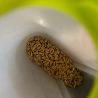 Корм сухой для кошек ROYAL CANIN Hairball Care 400г для профилактики образования волосяных комочков в желудочно-кишечном тракте: отзыв пользователя. Зоомагазин Зоозавр