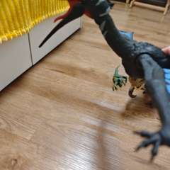 Фото отзыва 10754639