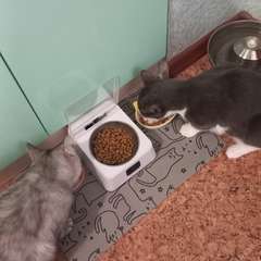 Фото отзыва 11024438