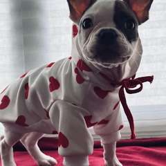 Фото отзыва 11075031