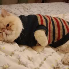 Фото отзыва 11020933