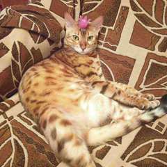 Фото отзыва 10739598