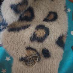 Фото отзыва 10771295