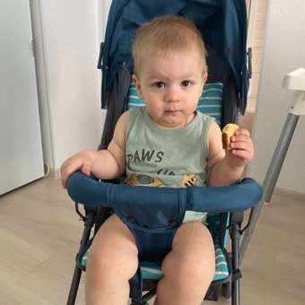 Коляска прогулочная Babyton Zoo Blue синий: отзыв пользователя ДетМир