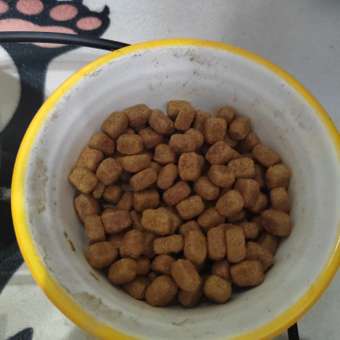 Корм для кошек ROYAL CANIN Dental Care 0.4кг для профилактики образования зубного налета: отзыв пользователя. Зоомагазин Зоозавр