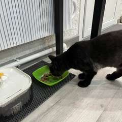 Фото отзыва 10967801