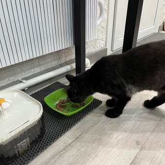 Корм для кошек ROYAL CANIN Сенситивити Контр 85г: отзыв пользователя. Зоомагазин Зоозавр