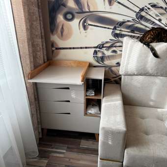 Комод пеленальный Rant Lago Pro (бежевый): отзыв пользователя Детский Мир