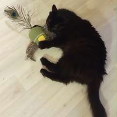 Фото отзыва 9731071