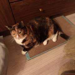 Фото отзыва 10755920