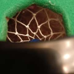 Фото отзыва 10868047