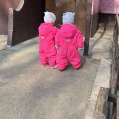 Фото отзыва 8818186