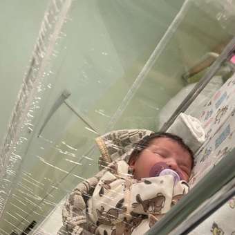 Пустышка Philips Avent силикон ортодонтическая от 0 мес. 2 шт.: отзыв пользователя ДетМир
