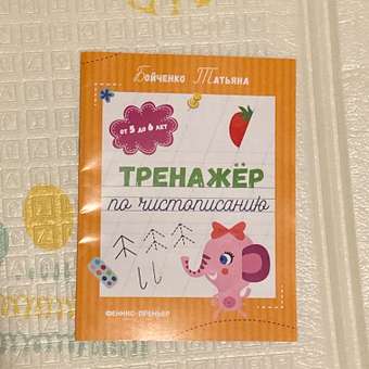 Книга Феникс Премьер Тренажер по чистописанию от 5 до 6 лет: отзыв пользователя Детский Мир