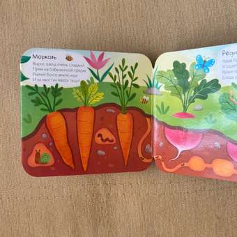 Книжка-раскладушка Attivio Огород: отзыв пользователя Детский Мир