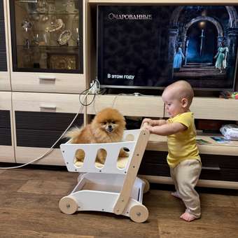 Игровой набор PAPPADO Тележка: отзыв пользователя Детский Мир