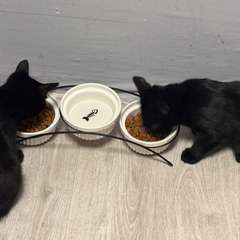 Фото отзыва 10441190