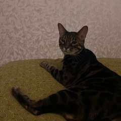 Фото отзыва 10734817