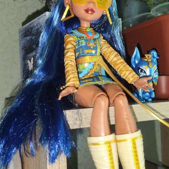 Кукла модельная Monster High Cleo de Nile: отзыв пользователя ДетМир