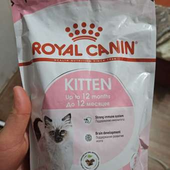 Корм сухой для котят ROYAL CANIN Kitten 300г: отзыв пользователя. Зоомагазин Зоозавр