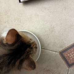 Фото отзыва 11054948