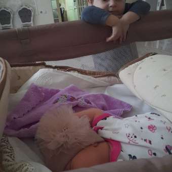 Манеж кровать Babyton Dreamy Brown коричневый: отзыв пользователя Детский Мир