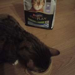 Фото отзыва 10688180