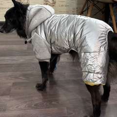 Фото отзыва 10615160