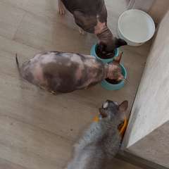 Фото отзыва 10978065