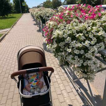Коляска трансформер Babyton FlexiRide Black-Beige: отзыв пользователя ДетМир