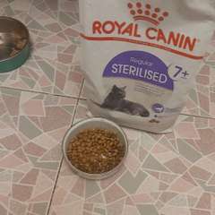 Фото отзыва 10643308