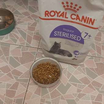 Корм сухой для кошек ROYAL CANIN Sterilised 3.5кг пожилых стерилизованных: отзыв пользователя. Зоомагазин Зоозавр