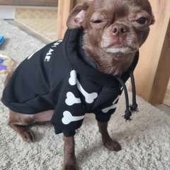 Фото отзыва 6738788