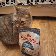 Фото отзыва 10960071